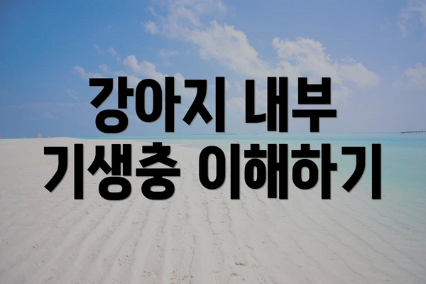 강아지 내부 기생충 이해하기