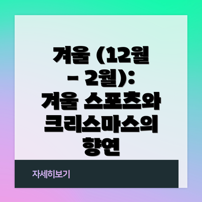 겨울 (12월 - 2월): 겨울 스포츠와 크리스마스의 향연