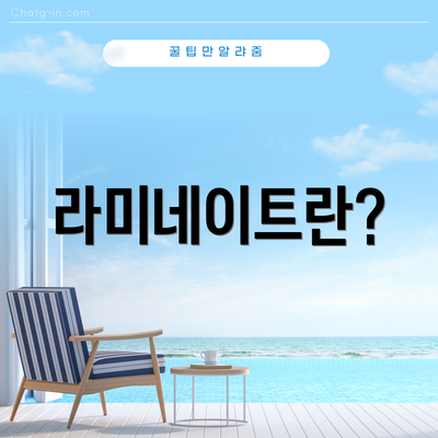 라미네이트란?