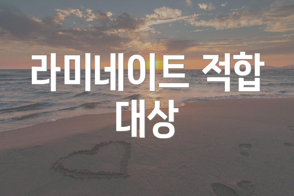 라미네이트 적합 대상