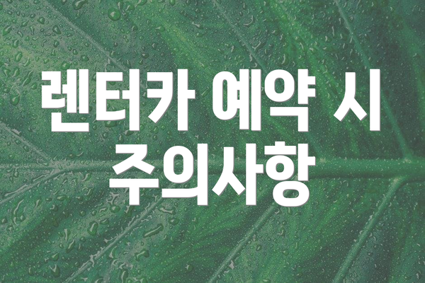 렌터카 예약 시 주의사항