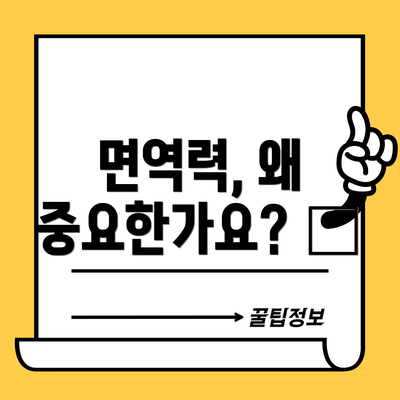 면역력, 왜 중요한가요? 🤔
