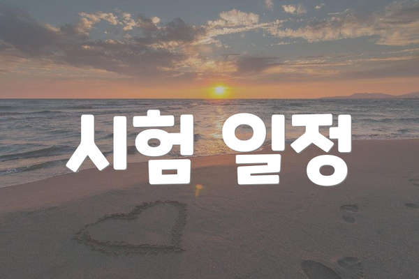시험 일정