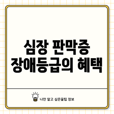심장 판막증 장애등급의 혜택