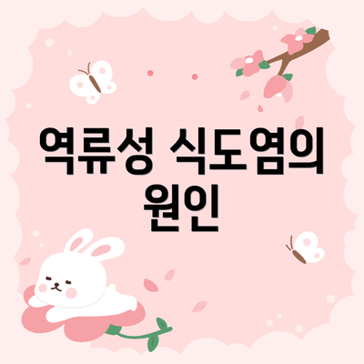 역류성 식도염의 원인