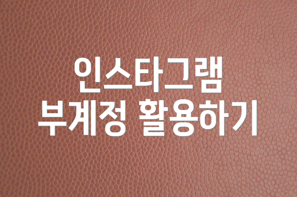 인스타그램 부계정 활용하기