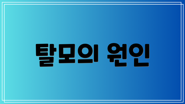 탈모의 원인