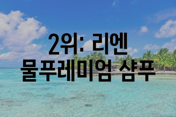 2위: 리엔 물푸레미엄 샴푸