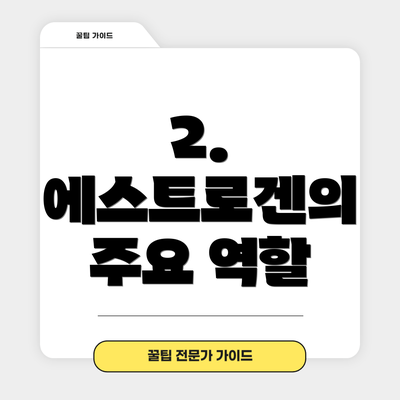 2. 에스트로겐의 주요 역할