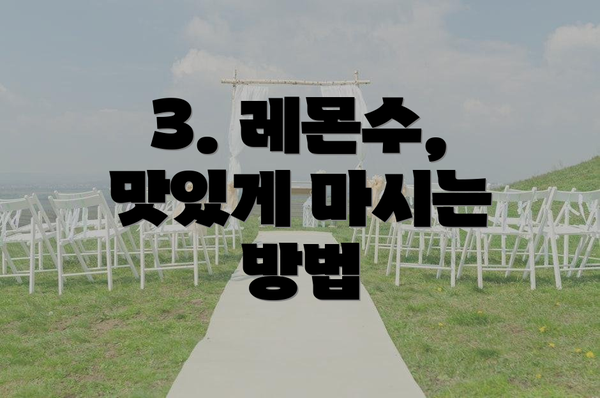 3. 레몬수, 맛있게 마시는 방법
