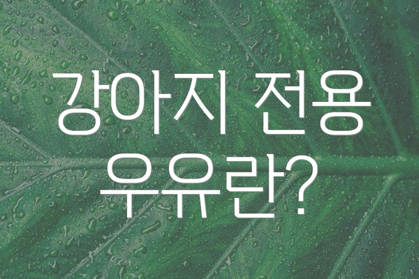 강아지 전용 우유란?