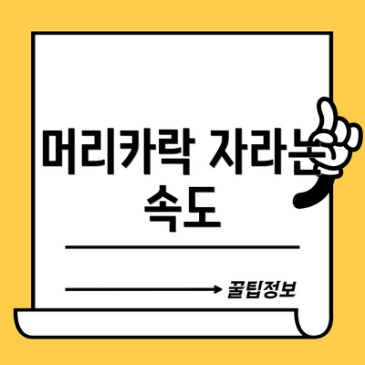 머리카락 자라는 속도