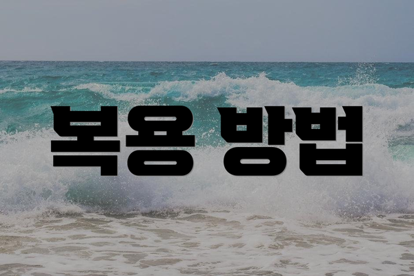 복용 방법