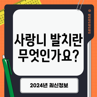 사랑니 발치란 무엇인가요?
