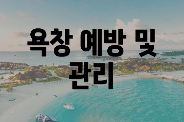 욕창 예방 및 관리