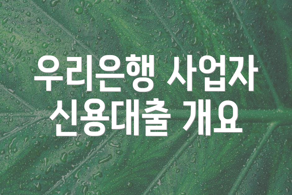 우리은행 사업자 신용대출 개요