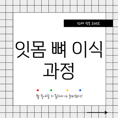 잇몸 뼈 이식 과정