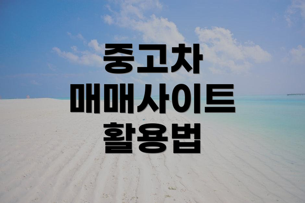 중고차 매매사이트 활용법