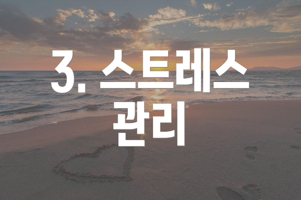3. 스트레스 관리