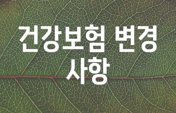 건강보험 변경 사항