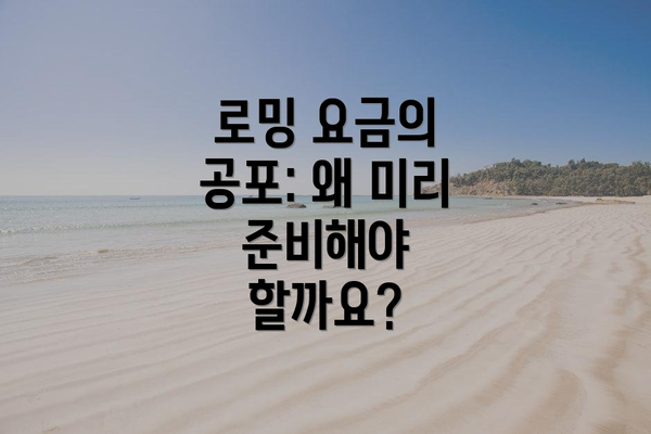 로밍 요금의 공포: 왜 미리 준비해야 할까요?