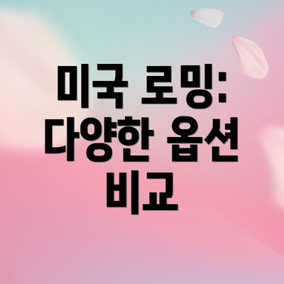 미국 로밍: 다양한 옵션 비교