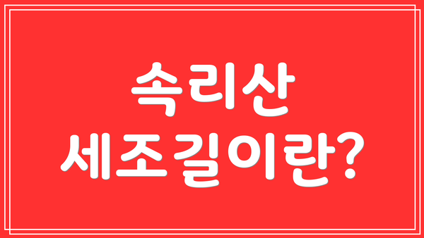 속리산 세조길이란?