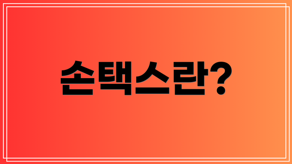 손택스란?