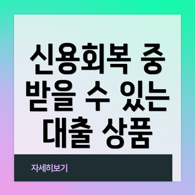 신용회복 중 받을 수 있는 대출 상품