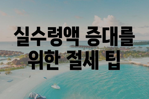 실수령액 증대를 위한 절세 팁