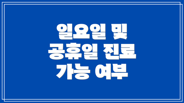 일요일 및 공휴일 진료 가능 여부