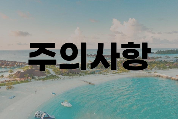 주의사항