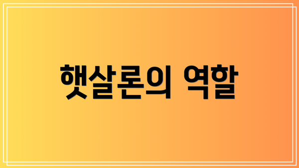햇살론의 역할
