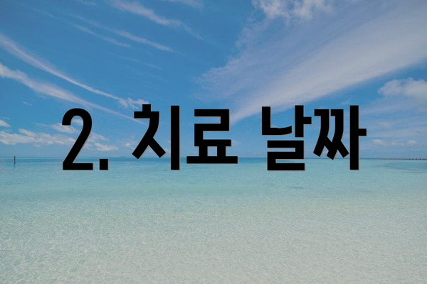 2. 치료 날짜
