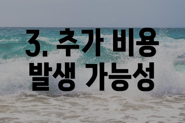 3. 추가 비용 발생 가능성